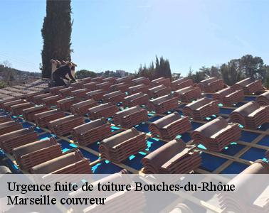 Qui peut effectuer les travaux de bâchage de la toiture dans le 13 dans le Bouches-du-Rhône et ses environs?