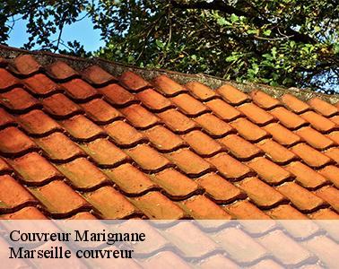 Les travaux de démoussage de la toiture à Marignane