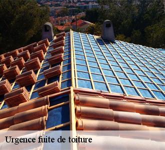 Qui peut effectuer les travaux de bâchage de la toiture à La Bouilladisse dans le 13720 et ses environs?
