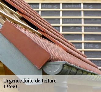 La prévention des chutes d'éléments de la toiture en cas d'urgence de fuites de toit à Eyragues