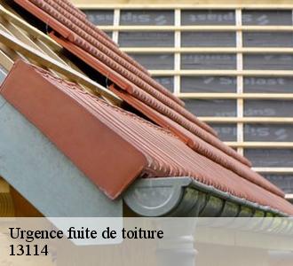La prévention des chutes d'éléments de la toiture en cas d'urgence de fuites de toit à Puyloubier
