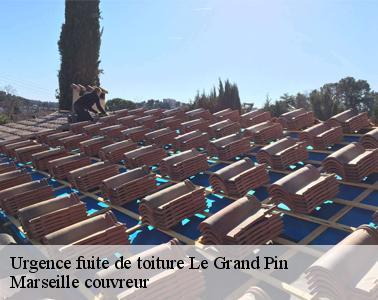 Qui peut effectuer les travaux de bâchage de la toiture à Le Grand Pin dans le 13500 et ses environs?