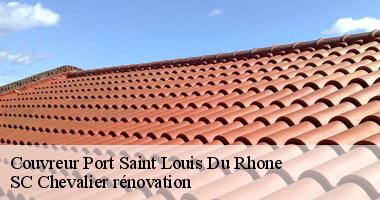 Les travaux de démoussage de la toiture à Port Saint Louis Du Rhone