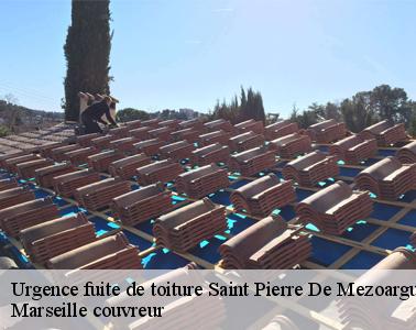 Des réparations de qualité pour votre toit à Saint Pierre De Mezoargue et ses environs