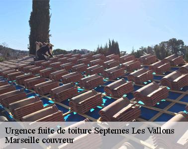 Toutes les informations à savoir pour les urgences des fuites de toit à Septemes Les Vallons