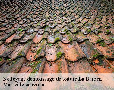 Des devis de démoussage et d'entretien de toit gratuits et sans engagement avec Marseille couvreur
