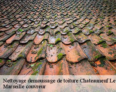 Les travaux de nettoyage pour les toits des maisons à Chateauneuf Le Rouge dans le 13790 