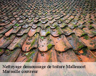 Des produits de traitement de meilleur qualité pour un meilleur entretien de votre toit à Mallemort