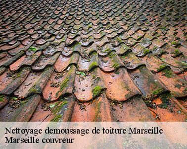 L'élimination des mousses au niveau de la toiture à Marseille dans le 13000