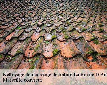 Les travaux de nettoyage pour les toits des maisons à La Roque D Antheron dans le 13640 