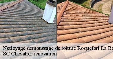 La prévention des dégâts et les travaux de nettoyage des toits des maisons