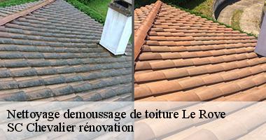 La prévention des dégâts et les travaux de nettoyage des toits des maisons