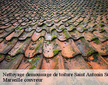 L'élimination des mousses au niveau de la toiture à Saint Antonin Sur Bayon dans le 13100