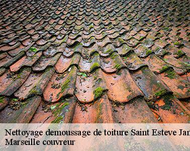 Des produits de traitement de meilleur qualité pour un meilleur entretien de votre toit à Saint Esteve Janson