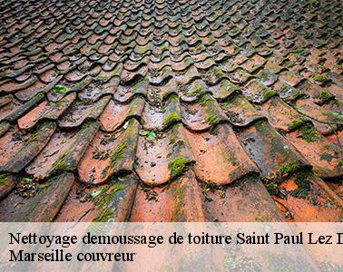 L'élimination des mousses au niveau de la toiture à Saint Paul Lez Durance dans le 13115