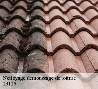 Qui peut effectuer les travaux de démoussage des toits des maisons à Saint Paul Lez Durance?