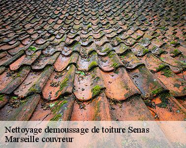 Pourquoi choisir l’entreprise Marseille couvreur pour l'entretien de votre toit à Senas ?