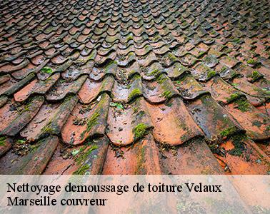 Pourquoi choisir l’entreprise Marseille couvreur pour l'entretien de votre toit à Velaux ?