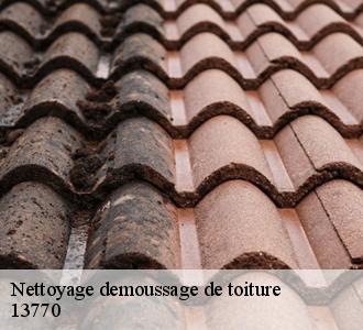 Le moment propice pour le décrassage et le démoussage de toiture