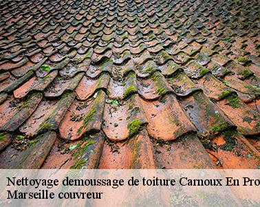 L'élimination des mousses au niveau de la toiture à Carnoux En Provence dans le 13470