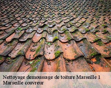 Qui peut effectuer les travaux de démoussage des toits des maisons à Marseille 1?