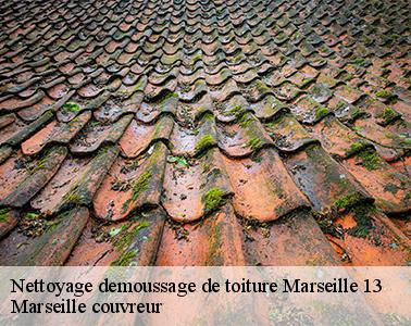 Les travaux de nettoyage pour les toits des maisons à Marseille 13 dans le 13013 