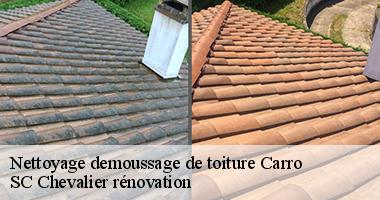 Le moment propice pour le décrassage et le démoussage de toiture