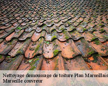 Les travaux de nettoyage pour les toits des maisons à Plan Marseillais dans le 13980 