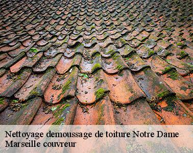 Des prix abordables pour le nettoyage et le démoussage de votre toit à Notre Dame