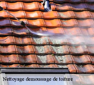 Toutes les informations à savoir sur les travaux de nettoyage et de démoussage de la toiture à Le Logis Neuf