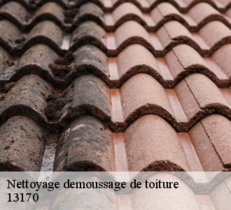 Qui peut effectuer les travaux de démoussage des toits des maisons à La Gavotte?