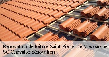 SC Chevalier rénovation vous propose des solutions innovantes pour la rénovation de toiture à Saint Pierre De Mezoargue