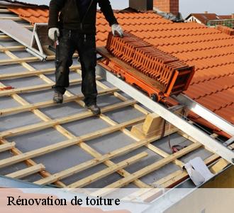 Rénovation de toitures anciennes : Techniques modernes à Marseille 3