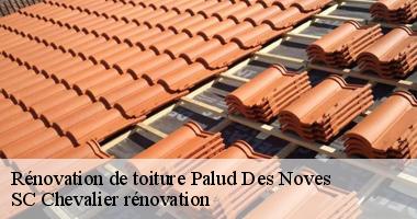 Les meilleures techniques pour rénover votre toiture à Palud Des Noves