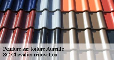 Peinture de toiture : Une protection contre les intempéries à {code_postal}