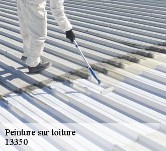 Peindre sa toiture : Une solution durable et esthétique à Charleval