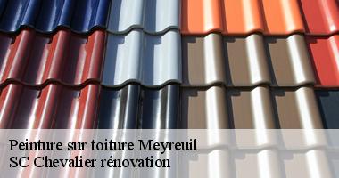 SC Chevalier rénovation : Le spécialiste de la peinture de toit à Meyreuil