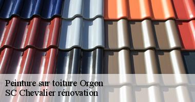 Peinture toiture : Les experts de SC Chevalier rénovation à votre service