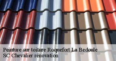 Roquefort La Bedoule : Redécouvrez votre toiture grâce à une nouvelle couche de peinture