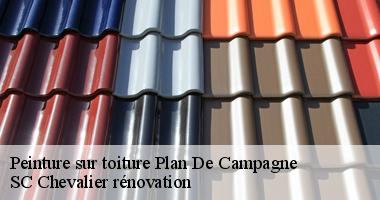 SC Chevalier rénovation : Le spécialiste de la peinture de toit à Plan De Campagne