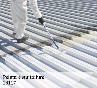 Peinture de toit : Les avantages pour votre maison à Lavera