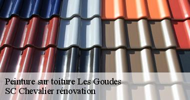 Entreprise spécialisée en peinture sur toiture SC Chevalier rénovation