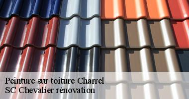 Peinture toiture : Les experts de SC Chevalier rénovation à votre service