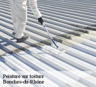 Entreprise spécialisée en peinture sur toiture SC Chevalier rénovation
