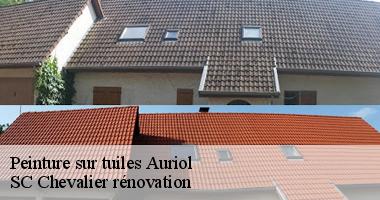 Auriol : Les tendances actuelles en peinture sur tuiles