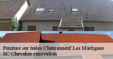 Chateauneuf Les Martigues : Pourquoi opter pour une peinture écologique sur vos tuiles ?