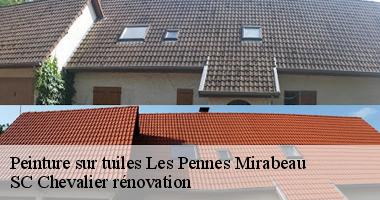 SC Chevalier rénovation vous explique comment entretenir votre toiture peinte à Les Pennes Mirabeau