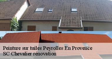 Peyrolles En Provence : Peindre ses tuiles soi-même ou faire appel à un professionnel ?