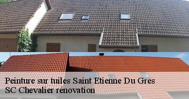 Peinture sur tuiles : Quels sont les avantages et inconvénients ?