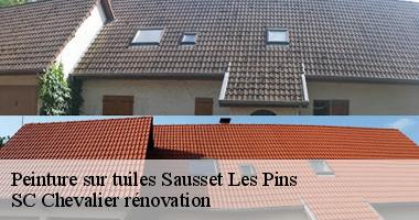 Peinture sur tuiles : Quels sont les avantages et inconvénients ?